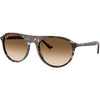 Havana Yellow Turtle/Clear Gradient Brown