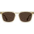 RAEN Adin Sunglasses Eden/Vibrant Brown Polarized