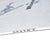 Forum Roost Snowboard 2026