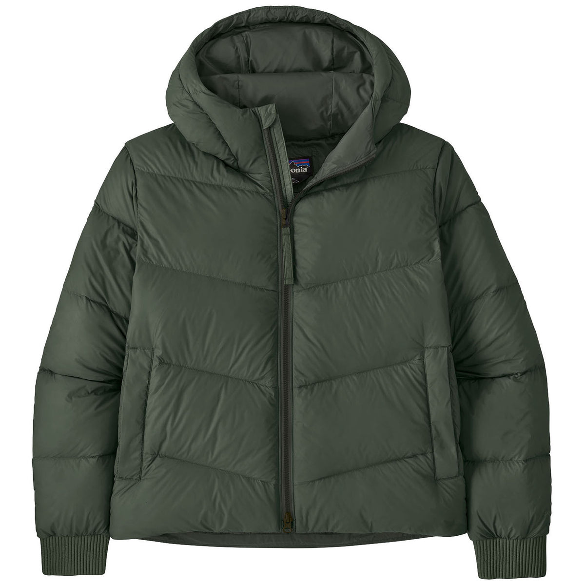 Patagonia Sindit Hoodie Jacket - Women's Old Growth Green