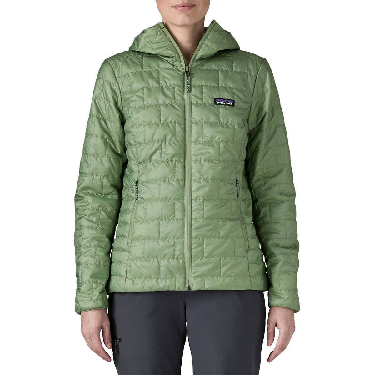 Patagonia Nano Puff Hoodie - Women's Ellwood Green