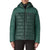 Patagonia Hi-Loft Nano Puff Hoodie - Women's Cascade Green