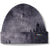 Smartwool Merino 250 Cuffed Beanie Charcoal Foggy Pines