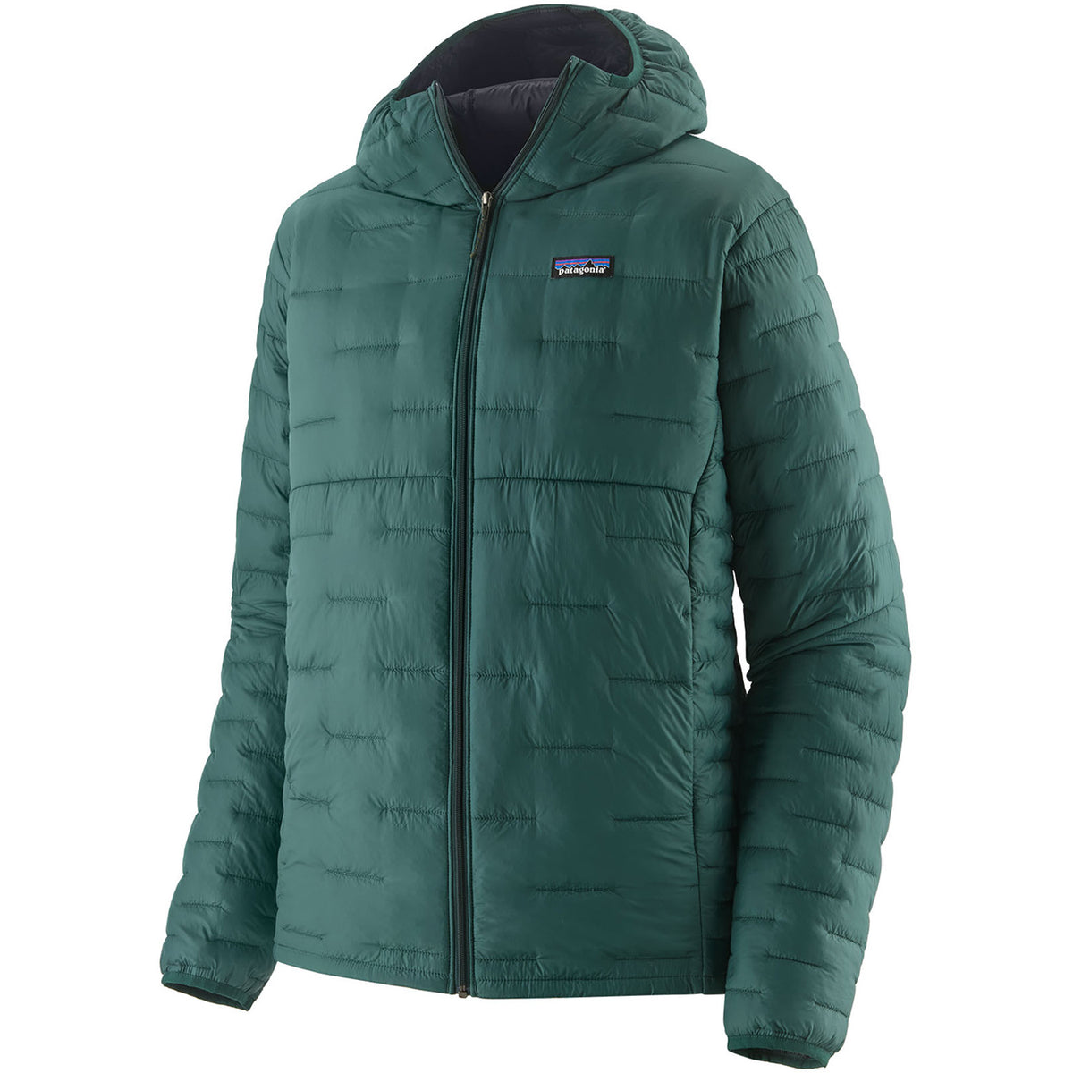 Patagonia Micro Puff Hoodie - Men's Cascade Green