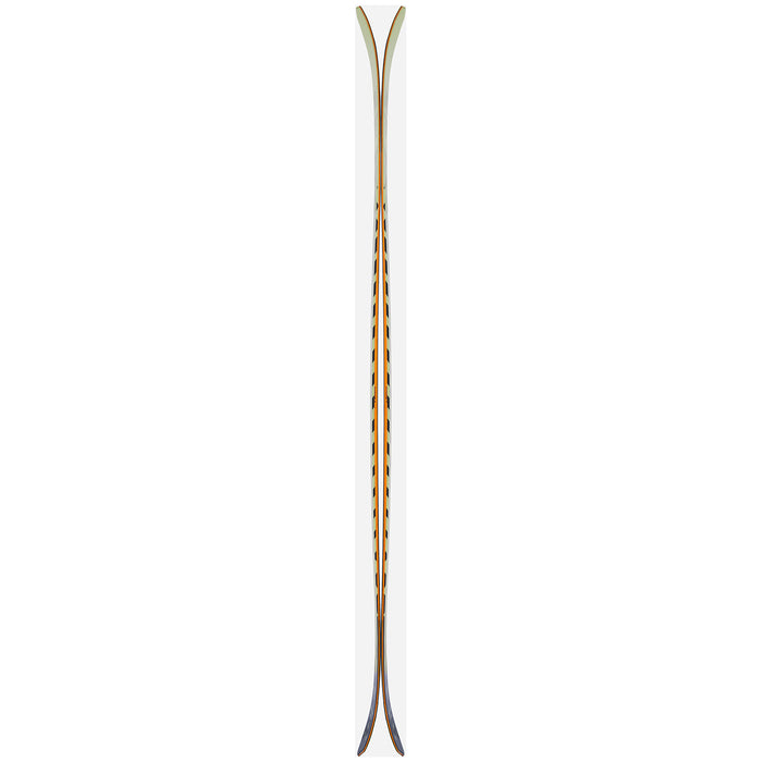 Black Crows Anima Skis 2027