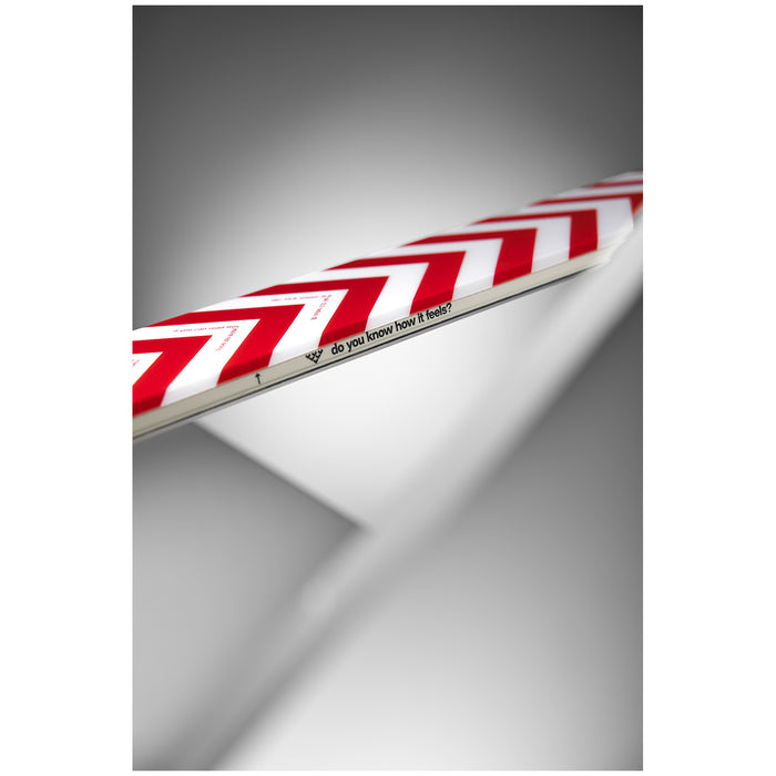 Black Crows Camox Skis 2026