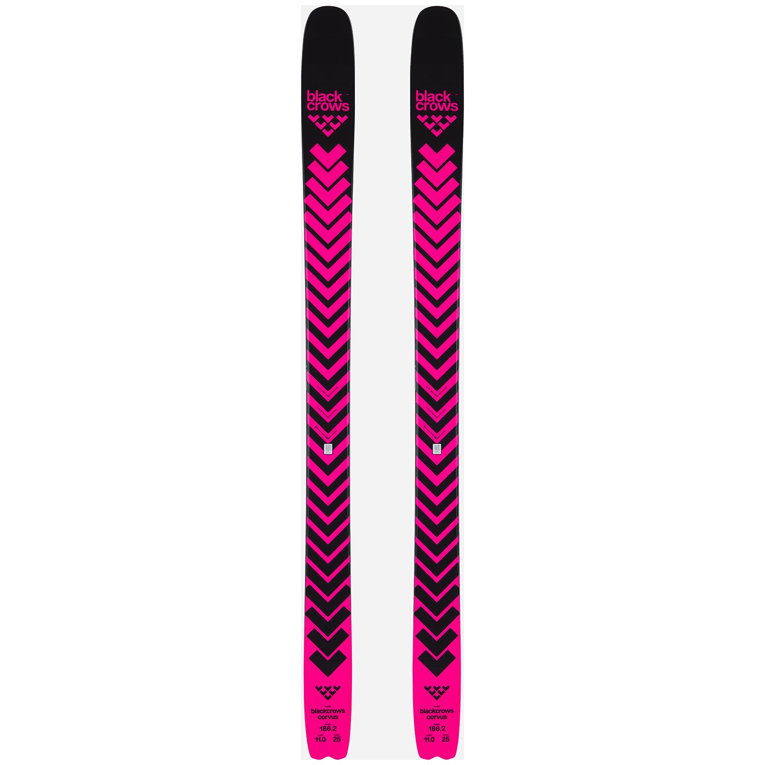 Black Crows Corvus Skis 2026 – evo