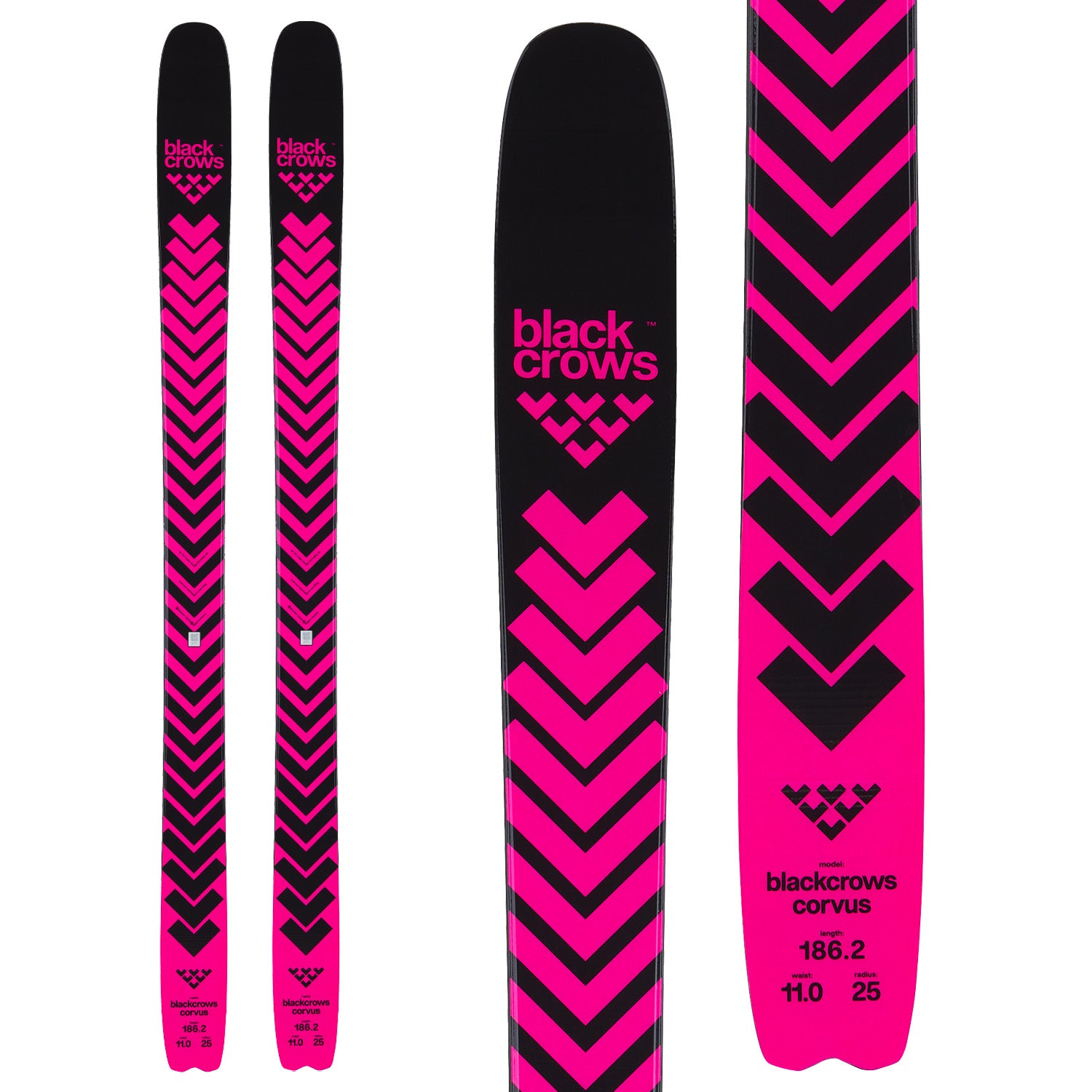 Black Crows Corvus Skis 2026 – evo