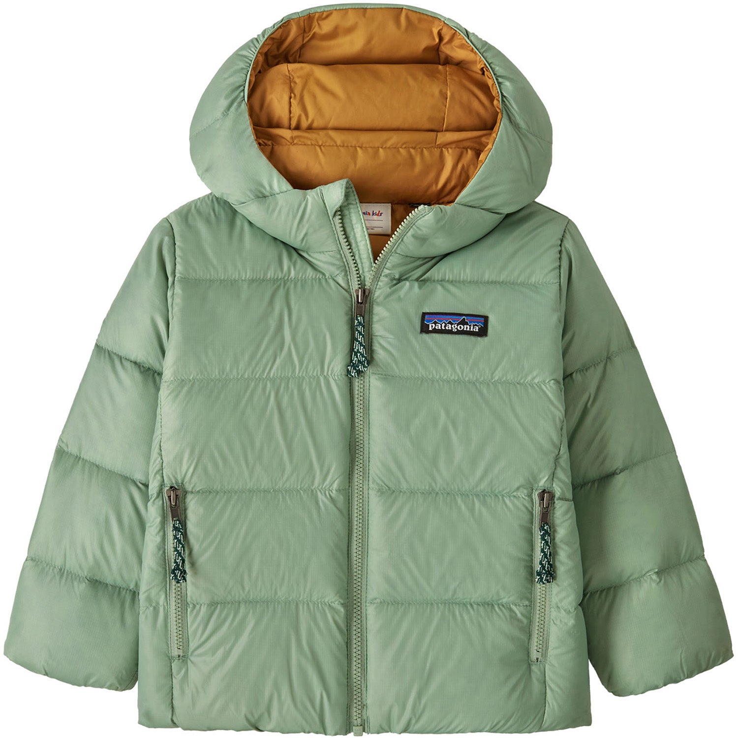 Patagonia Hi-Loft Down Sweater Hoodie - Toddlers' – evo