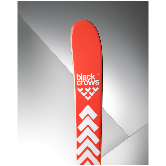 Black Crows Camox Birdie Skis - Women's 2026