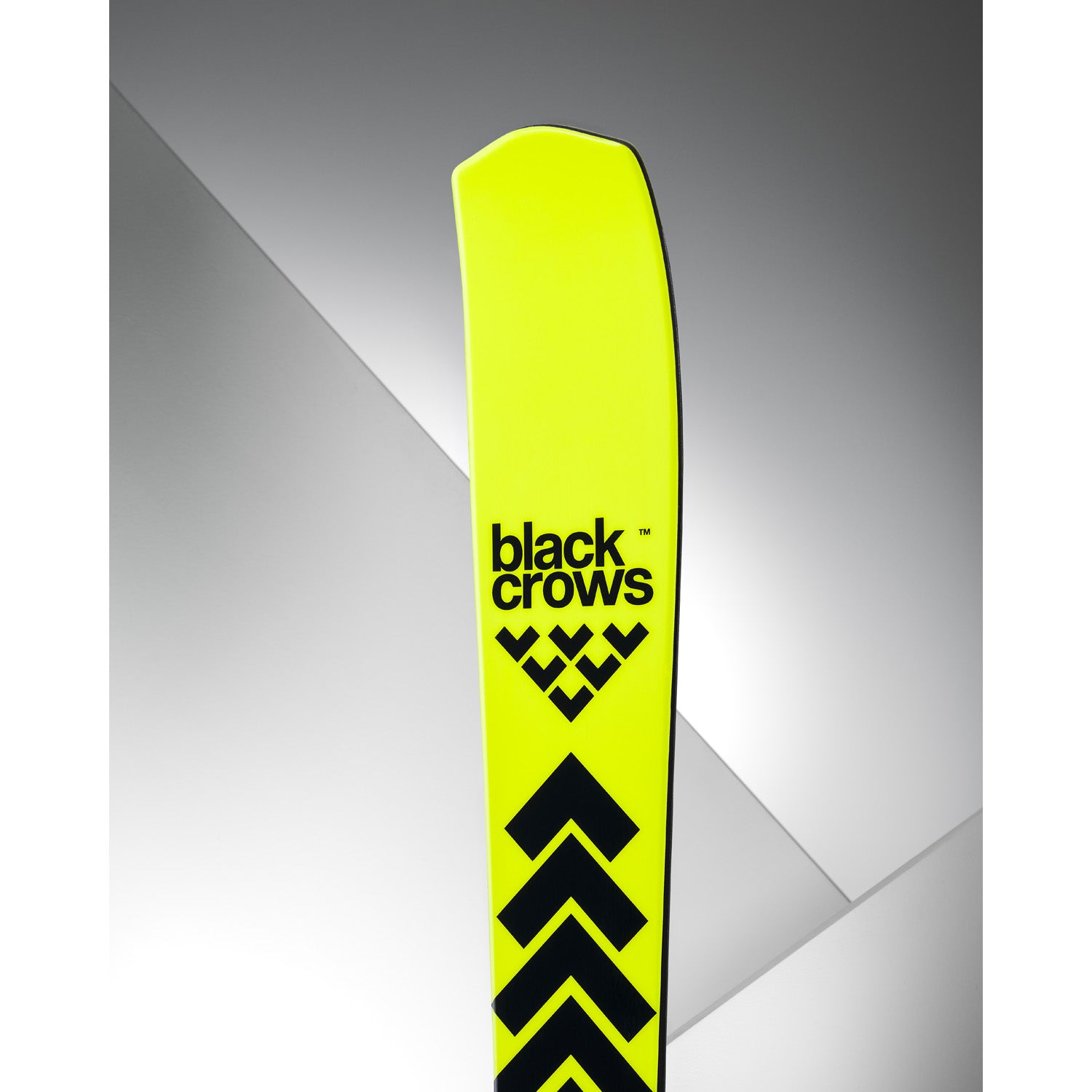 Black Crows Octo Skis 2027 – evo
