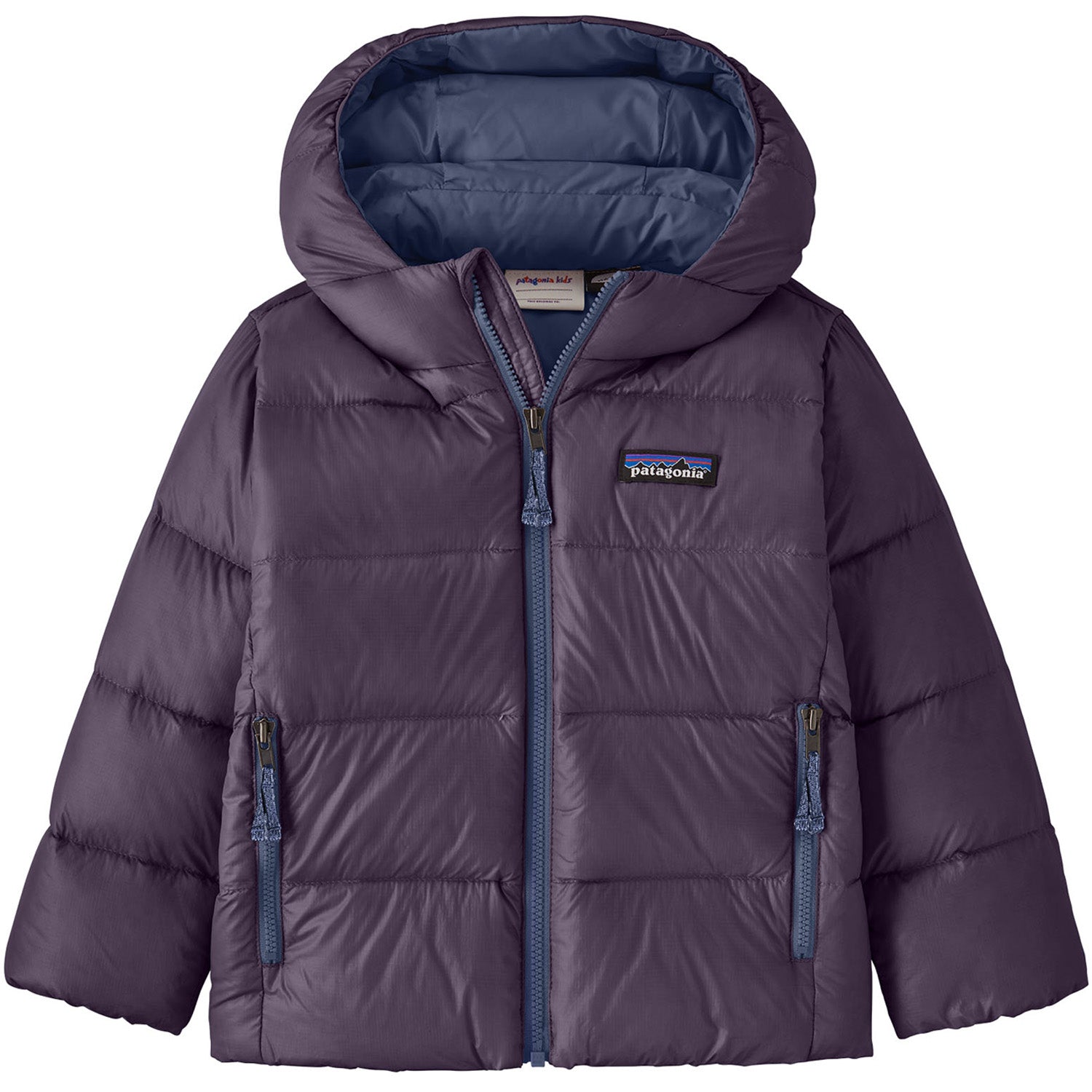 Patagonia Hi-Loft Down Sweater Hoodie - Toddlers' – evo