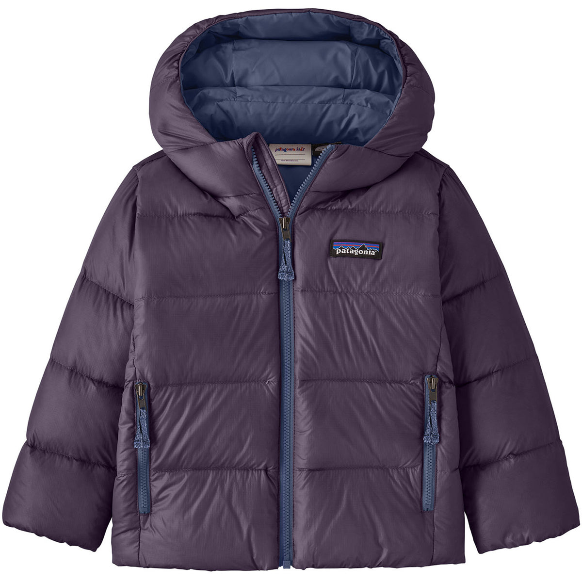 Patagonia Hi-Loft Down Sweater Hoodie - Toddlers