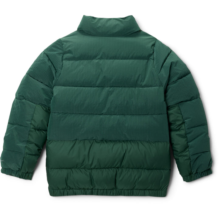 Columbia Pike Lake Novelty Jacket - Kids' Rain Forest