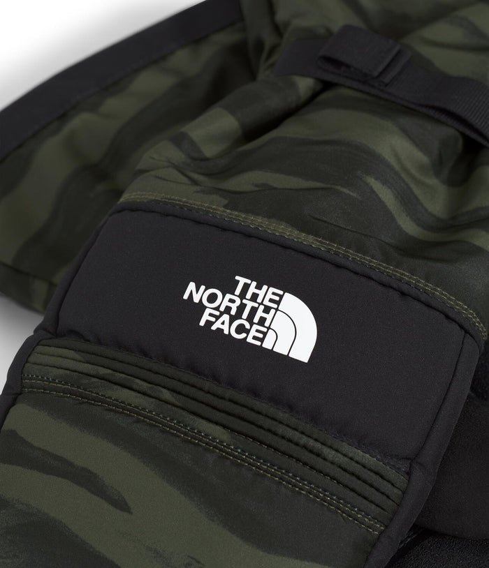 The North Face Montana Ski Mittens New Taupe Green Edge Of Light Print
