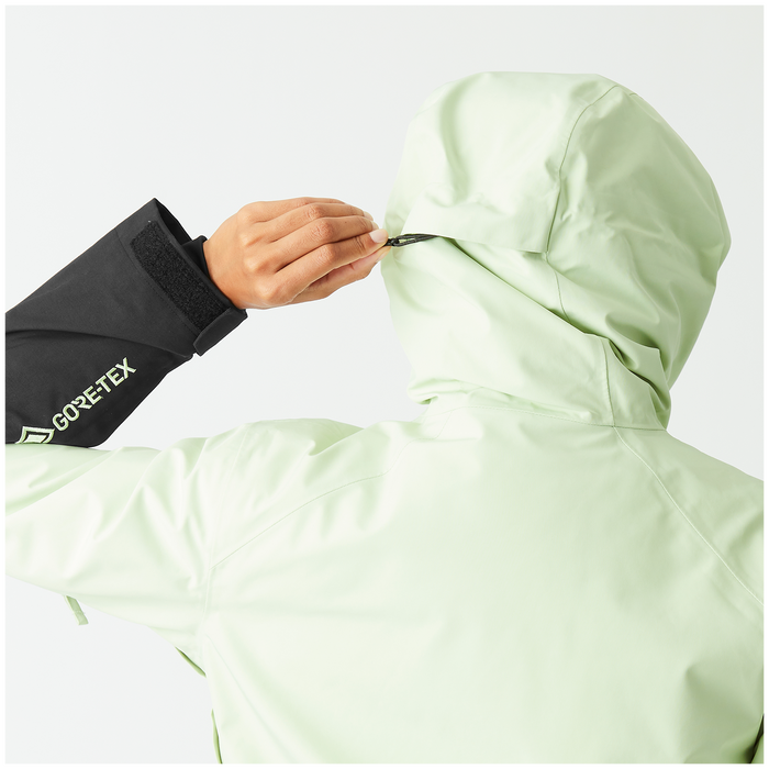 Picture Organic Merepi GORE-TEX Jacket - Women's Tender Green