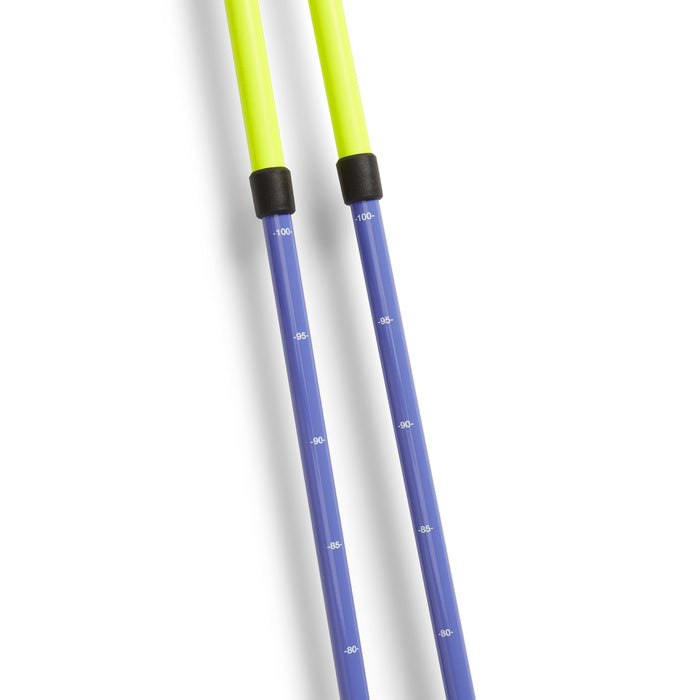 evo Lil Send'r Adjustable Ski Poles - Kids' French Fry Pizza