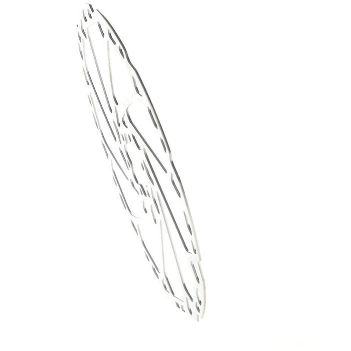 Shimano SM-RT66 Disc Rotor