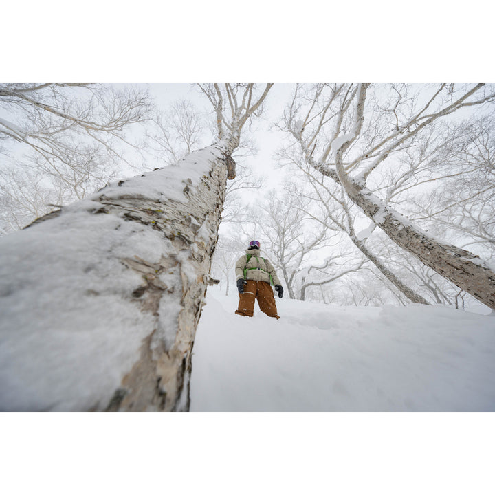 Oyuki Nimi NetPlus® 3L Jacket - Women's
