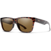 Tortoise/ChromaPop Glass Polarized Brown