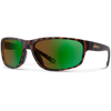 Matte Tortoise/ChromaPop Glass Polarchromic Brown Green  Mirror
