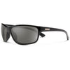 Black/Gray Polarized Polycarbonate