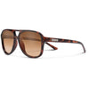 Tortoise/Polarized Brown Gradient