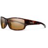Tortoise/Polarized Brown