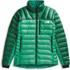 Nebula Green/Evergreen
