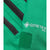 The North Face Summit Tsirku GORE-TEX Pro Jacket - Women's Nebula Green