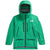 The North Face Summit Tsirku GORE-TEX Pro Jacket - Women's Nebula Green