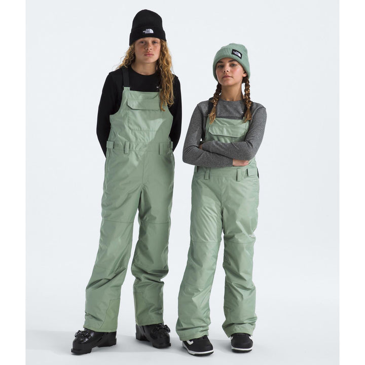 The North Face Teen Freedom Insulated Bibs - Kids' Slate Moss