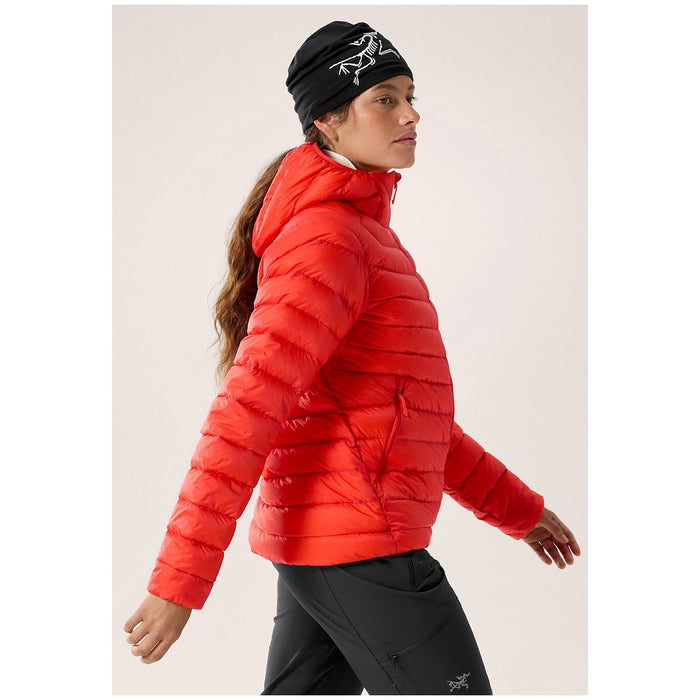 Arc'teryx Cerium Hoodie - Women's Dynasty