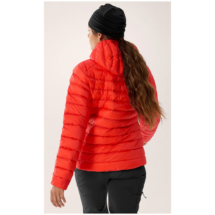 Arc'teryx Cerium Hoodie - Women's Dynasty