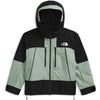 Slate Moss/TNF Black