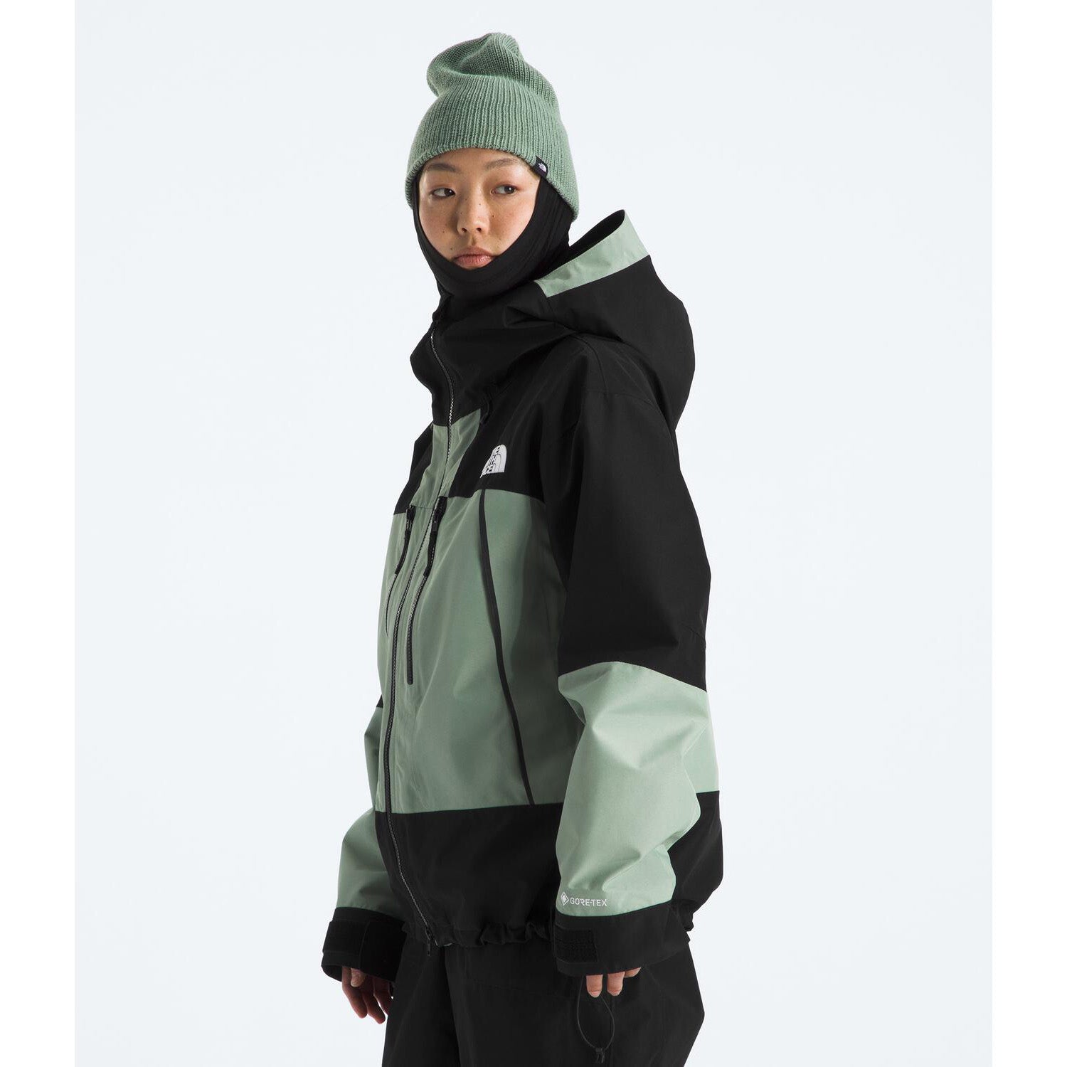 The North Face GORE-TEX Hex Jacket - Women's – evo