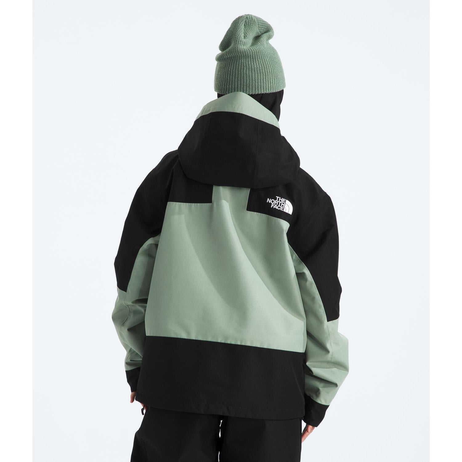 The North Face GORE-TEX Hex Jacket - Women's – evo
