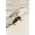 Season Nexus Skis 2026