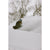 Season Forma Snowboard 2026