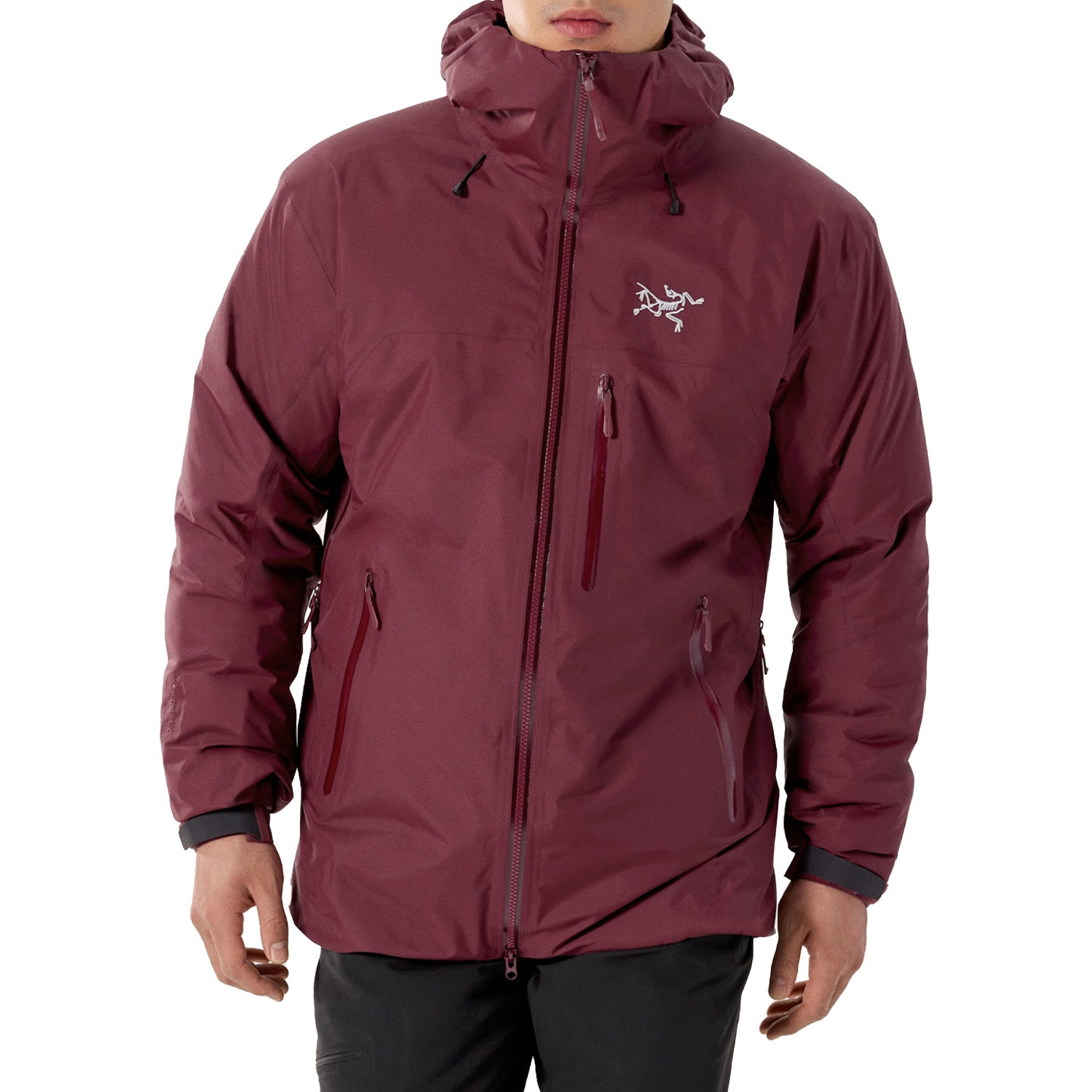 Arc'teryx Beta Insulated Jacket - Men's – evo