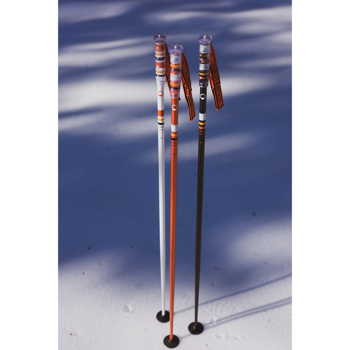 Season Community Ski Poles 2026