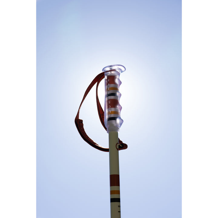 Season Community Ski Poles 2026