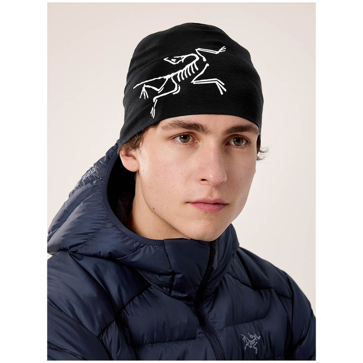 Arc'teryx Satoro Merino Toque Beanie Black/Arctic Silk