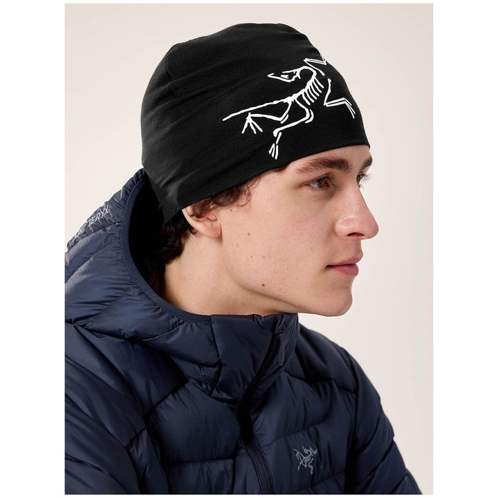 Arc'teryx Satoro Merino Toque Beanie Black/Arctic Silk