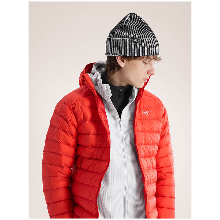 Arc'teryx Ribbed Toque Beanie Black/Arctic Silk