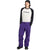 Burton Reserve GORE-TEX 2L Pants - Men's Prism Violet