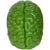 Spiral Wax Co. Brain All Temp Wax