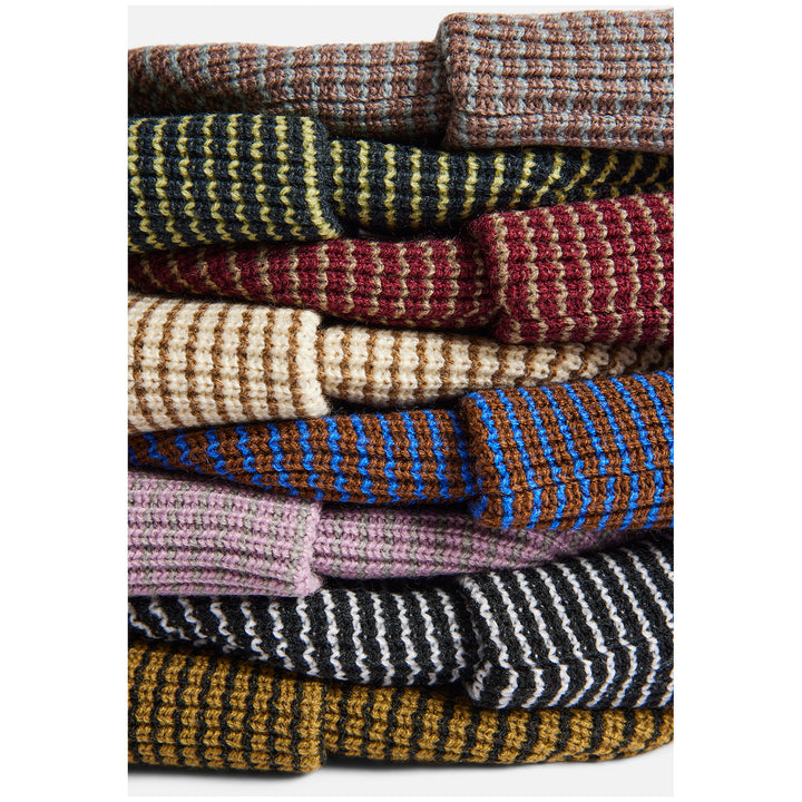 Autumn Stripe Beanie