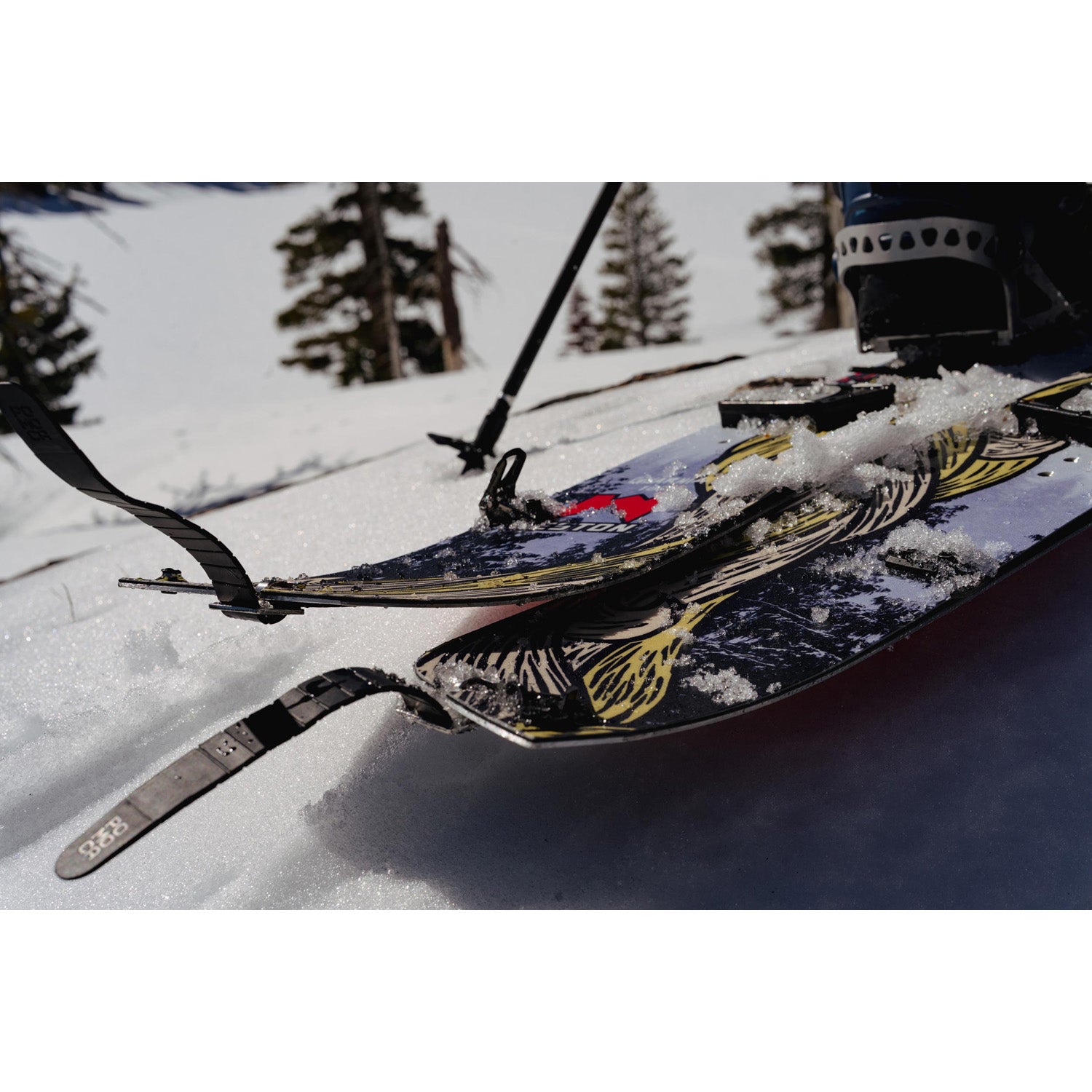 Weston Gnarnia Carbon Splitboard - Thumbnail 5
