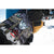 Weston Gnarnia Snowboard 2026